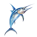 Deine Geschichte mit Blauer Marlin